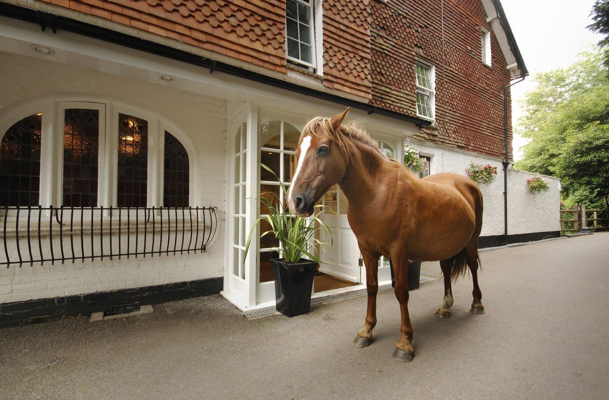 Moorhill House Bed & Breakfast Burley Exterior foto